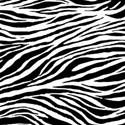 paper zebra white
