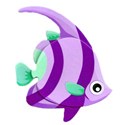purple angel fish