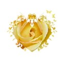 yellow rose heart and butterflies