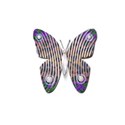 glass butterfly 2