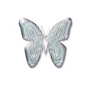 pearlbutterfly