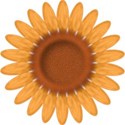 bos_ab_sunflower