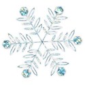 SCD_FrigidBreeze_snowflake1