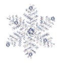 SCD_FrigidBreeze_snowflake4