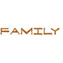 FAMILY 01