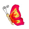 4 dark pink and orangey yellow flying butterfly