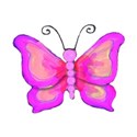 9 pink butterfly