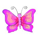 12 bright pink butterfly