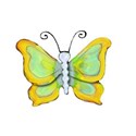 14 yellow butterfly