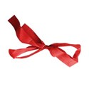 bow red 02