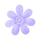 blue flower3