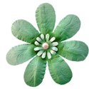 green flower