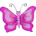 pink painted butterfly