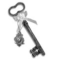 silver key and lock