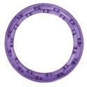 circle purple frame