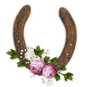 horseshoe flowers