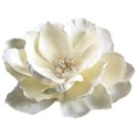 white silk rose