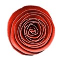 paper rose red