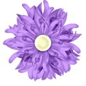 Flower-Spring-Purple