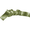 bos_tof_scrunched_ribbon03