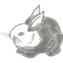 bunny1