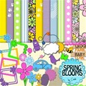 Spring BloomsA