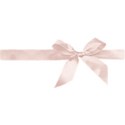 vintage shell pink ribbon
