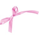 checked bow pink 2