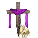 cross draped lambs