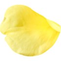 yellow petal 02