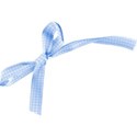 checked bow periwinkle