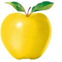 apple yellow 03