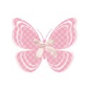 bow butterfly 3