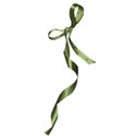 ribbon green dangle