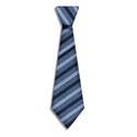 jennyL_you re_best_necktie2