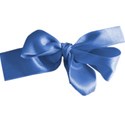 ribbon tied blue