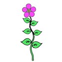 pink flower on stem
