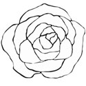 hand drawn rose line art