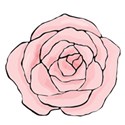 pink hand drawn rose
