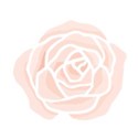 pink and white hand drawn rose