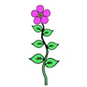 hand drawn pink flower on stem