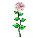 pink rose doodle
