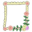 peach rose frame right
