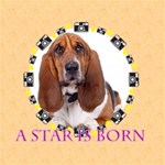 A star Born
