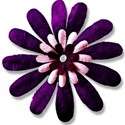purple pink flower