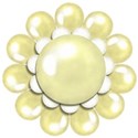 cream pearl flower