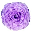 purpleflower