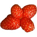 strawberries cluster
