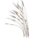 wheat2