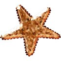 kitc_beach_gemstarfish